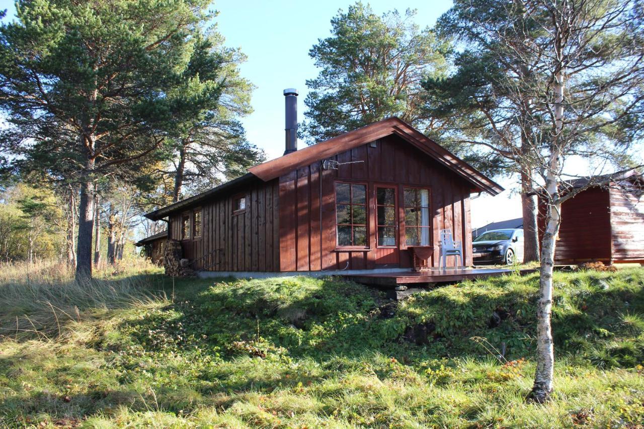 Adnebu By Norgesbooking - Cabin With 3 Bedrooms Geilo Exterior photo